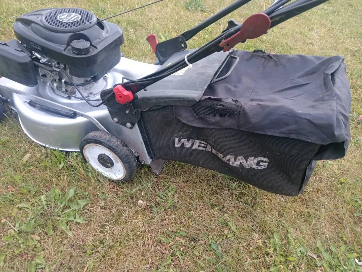 Lawnmowers - Image 3