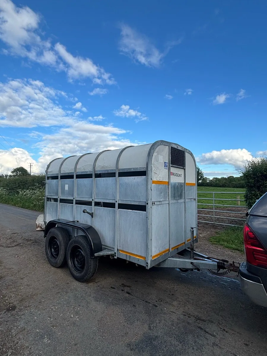 Nugent cattle trailer - Image 2