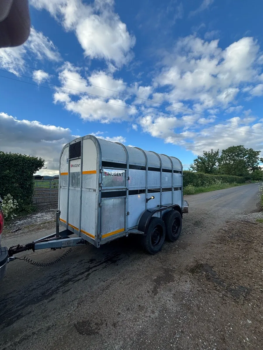 Nugent cattle trailer - Image 4