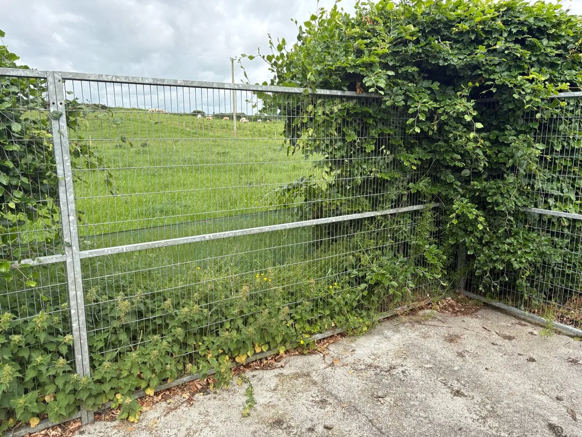 Dog pen - Image 3