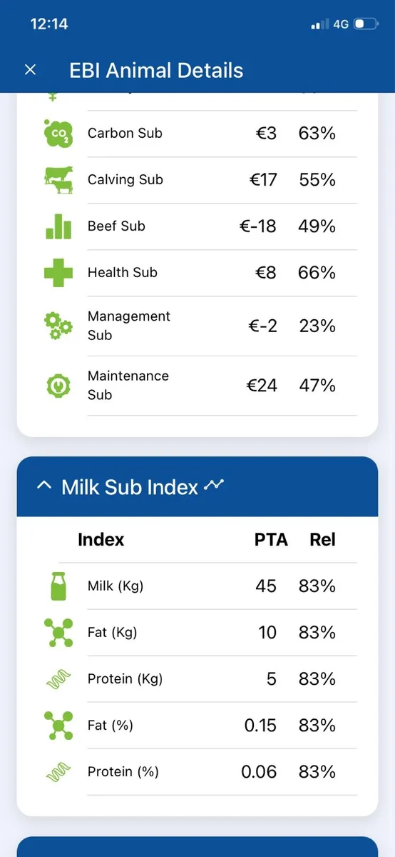 Pedigree Holstein Bull - Image 4