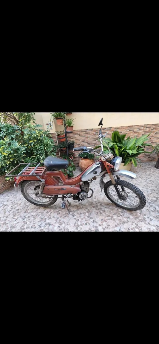 Classic mopeds - Image 3