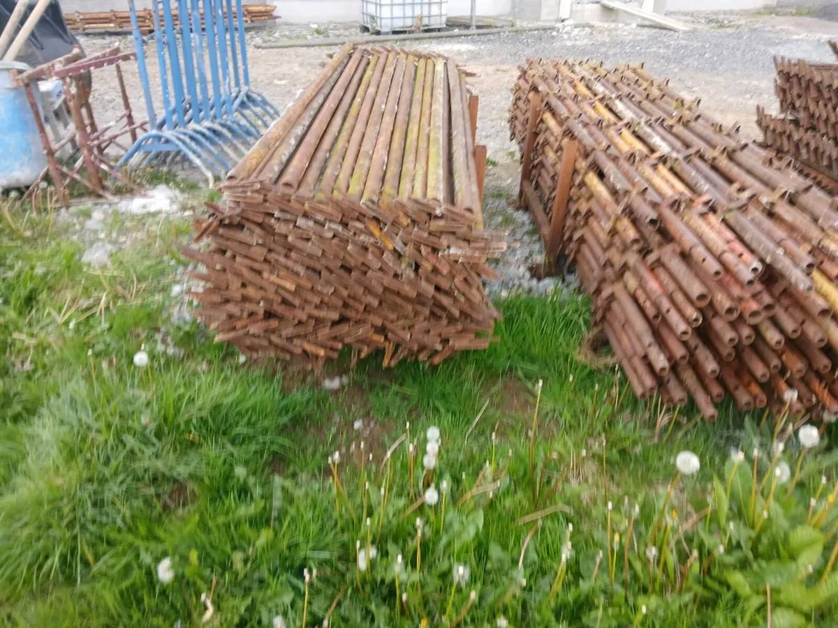 Scaffolding - Image 2