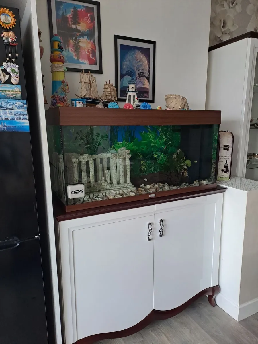Fishtank 200L - Image 1