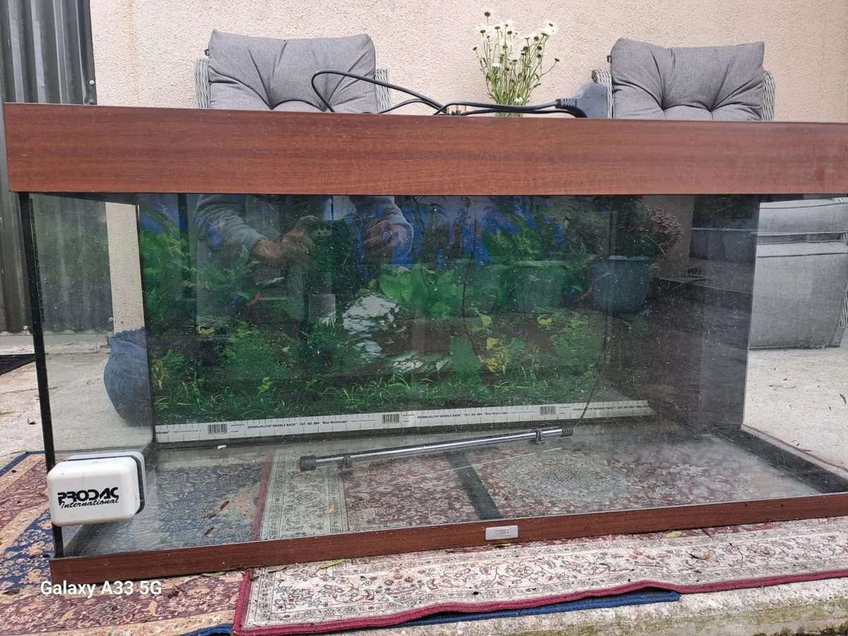 Fishtank 200L - Image 2