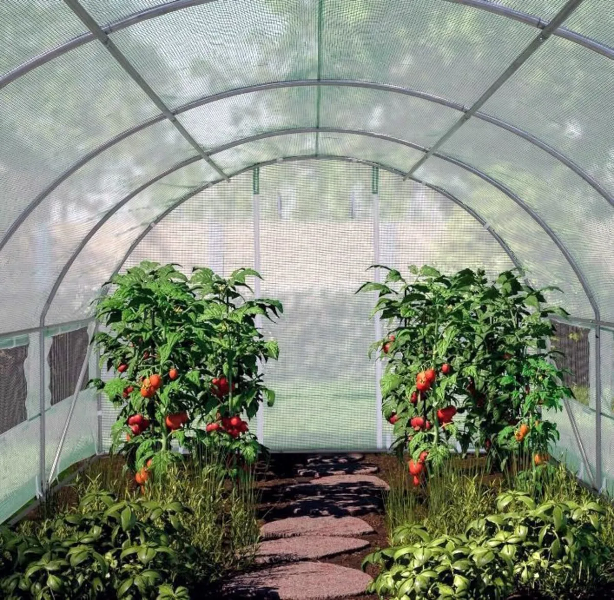 New Polytunnel 3m x 4m Free Delivery - Image 4