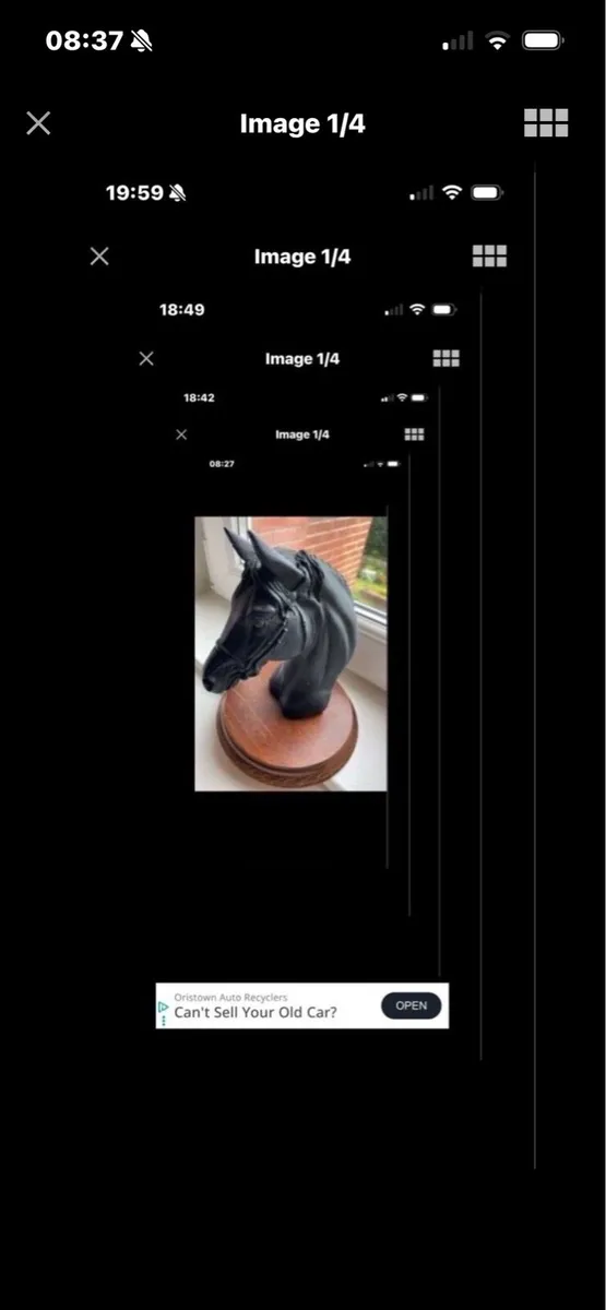 Vintage Horse Head Display - Image 1