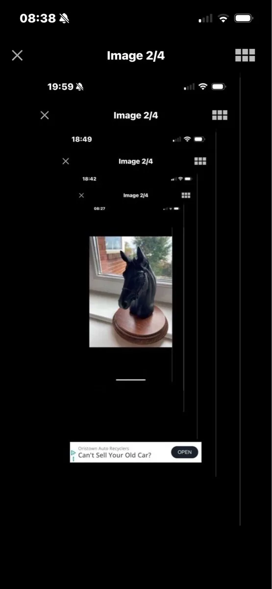 Vintage Horse Head Display - Image 2