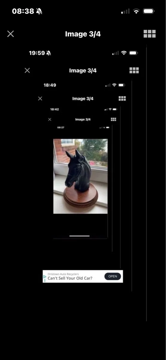 Vintage Horse Head Display - Image 3