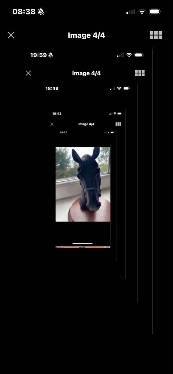 Vintage Horse Head Display - Image 4