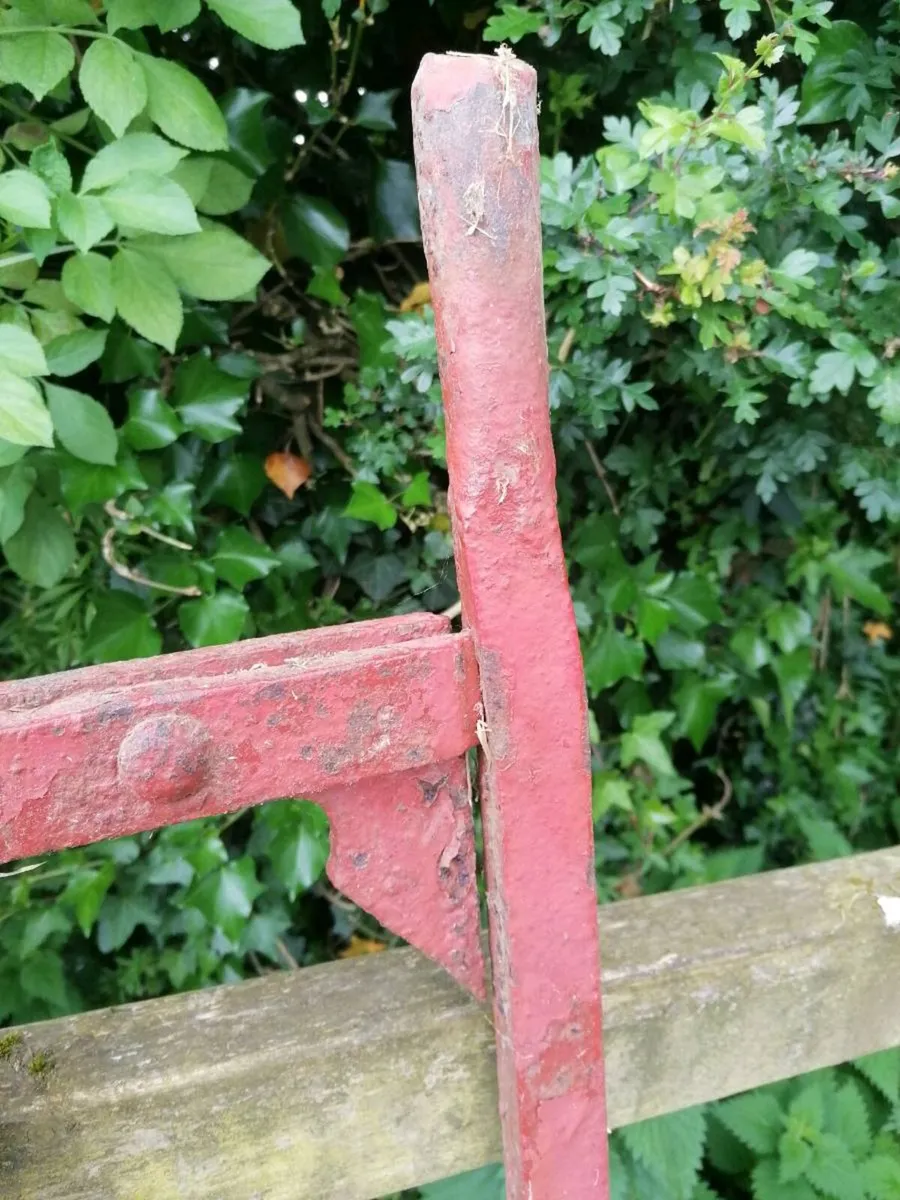 Vintage Gates - Image 3