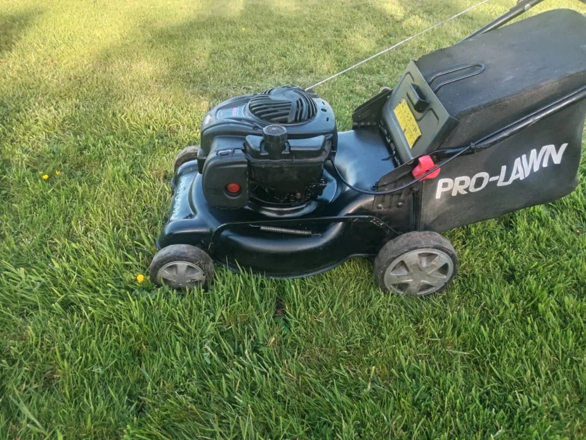 Lawnmowers - Image 1