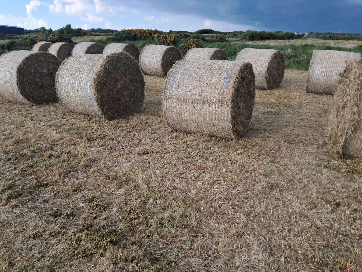 Bales of bedding for sale - Image 2
