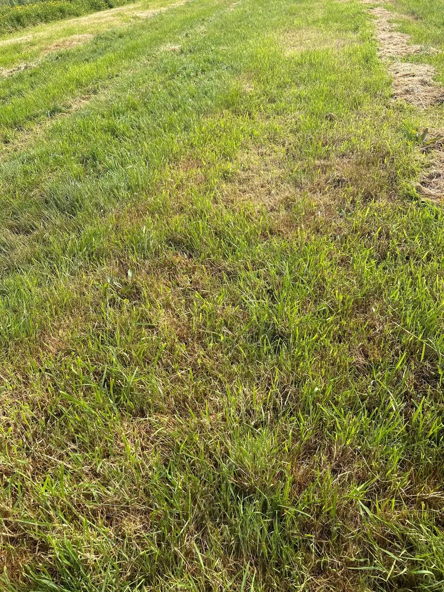Silage ground