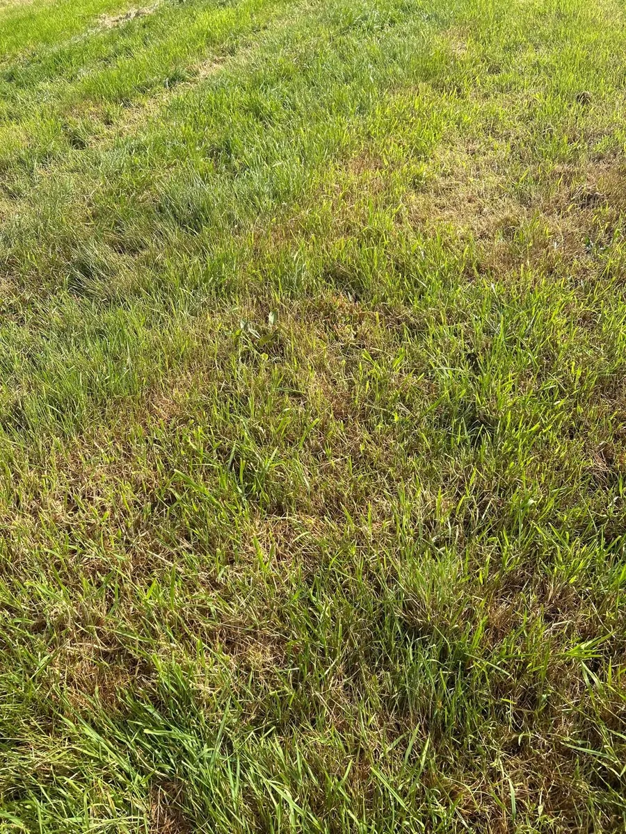 Silage ground