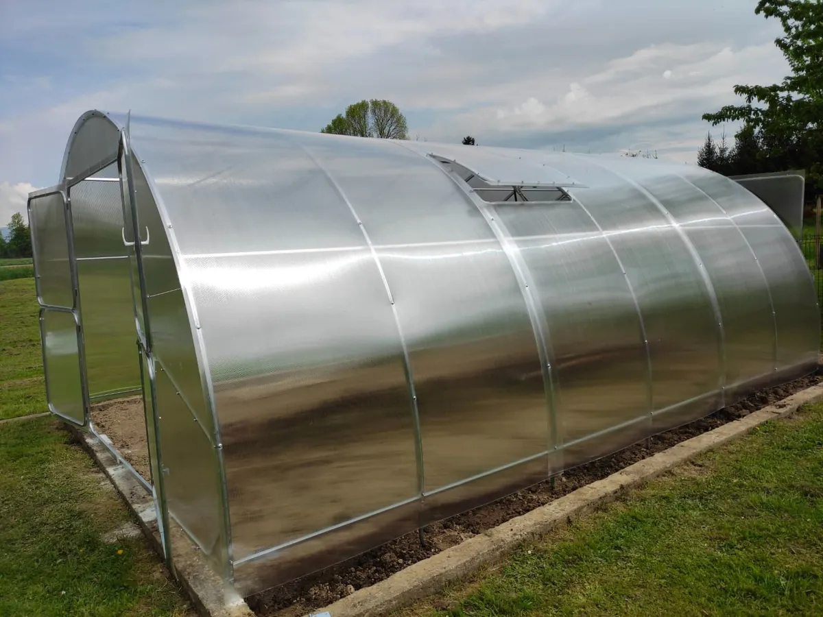 Green house - Image 4