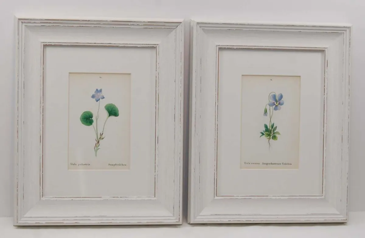 Pair 1872 Antique Botanical Prints J C Weber - Image 1
