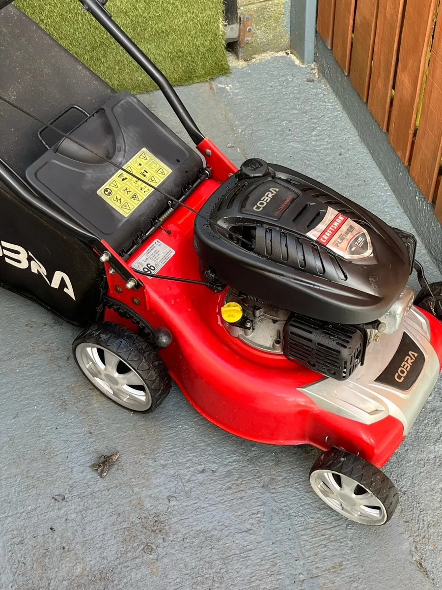 Lawnmower - Image 4