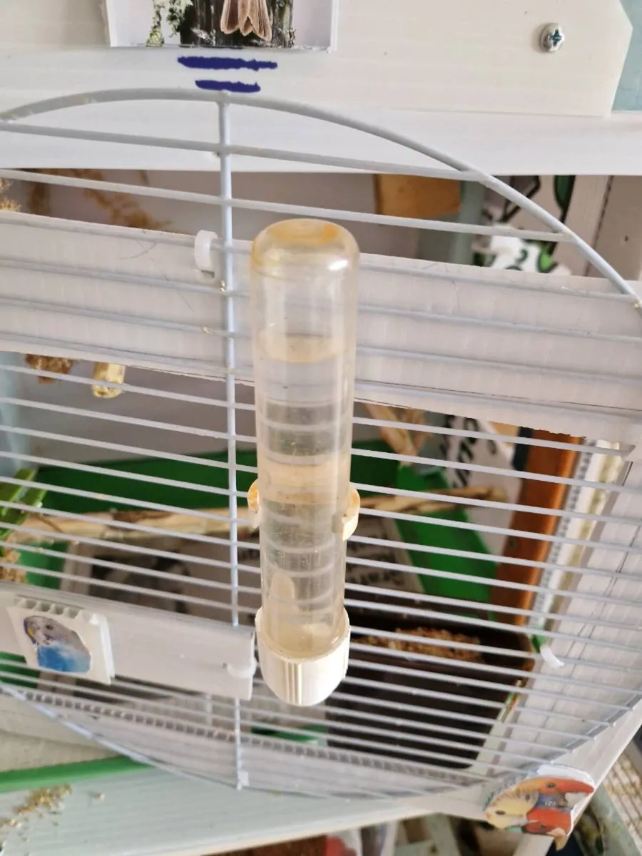 Bird cage food . extras - Image 1
