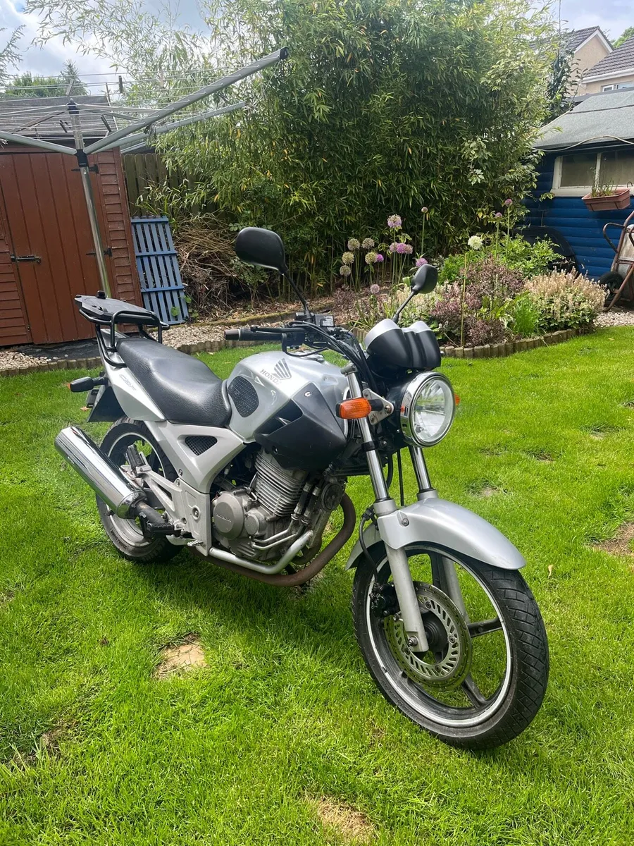Honda CBF 250 - Low Mileage (18k Km) - A2 - Image 4