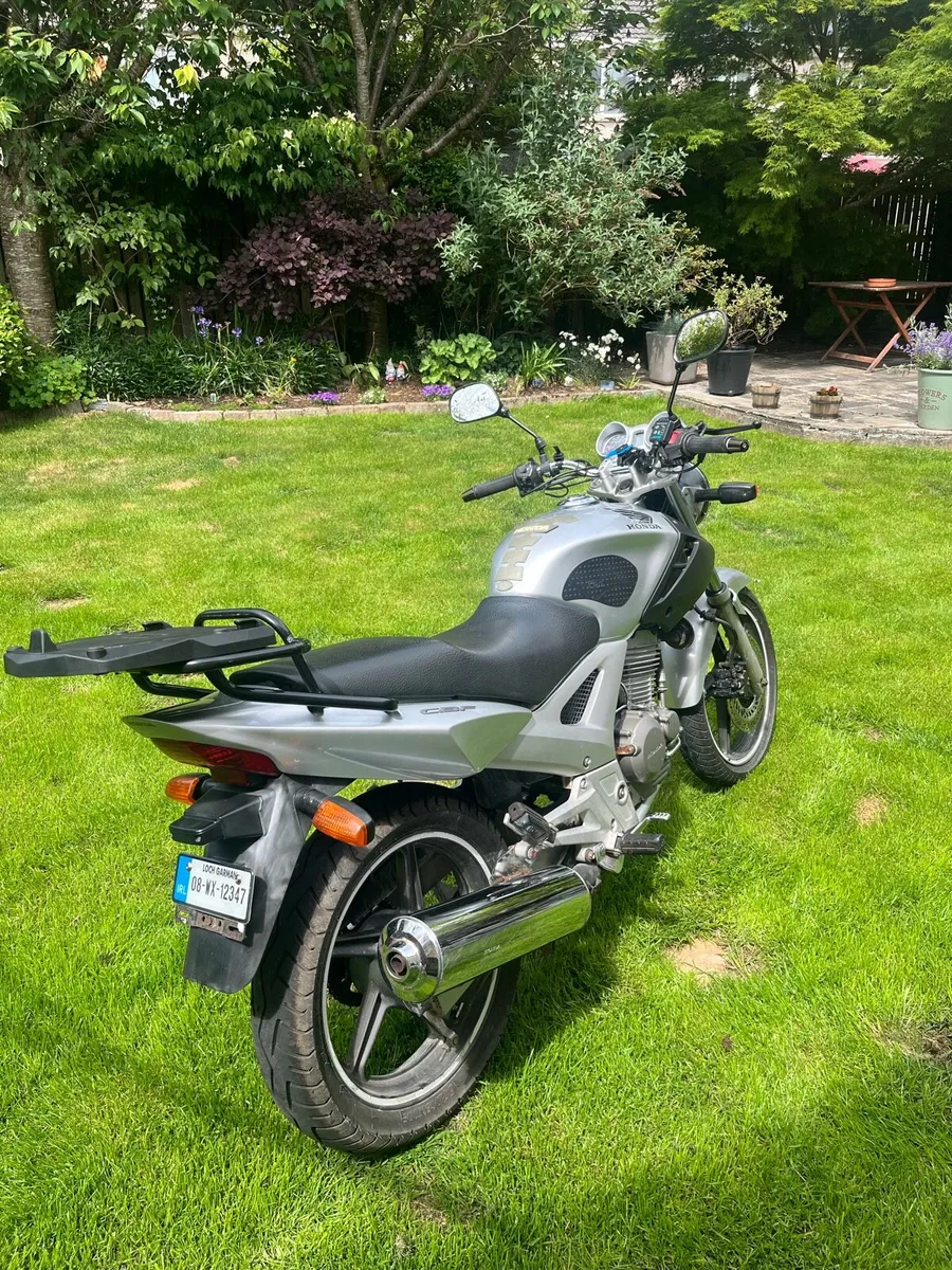 Honda CBF 250 - Low Mileage (18k Km) - A2 - Image 2