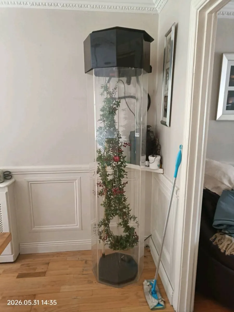Fish tank - Image 1