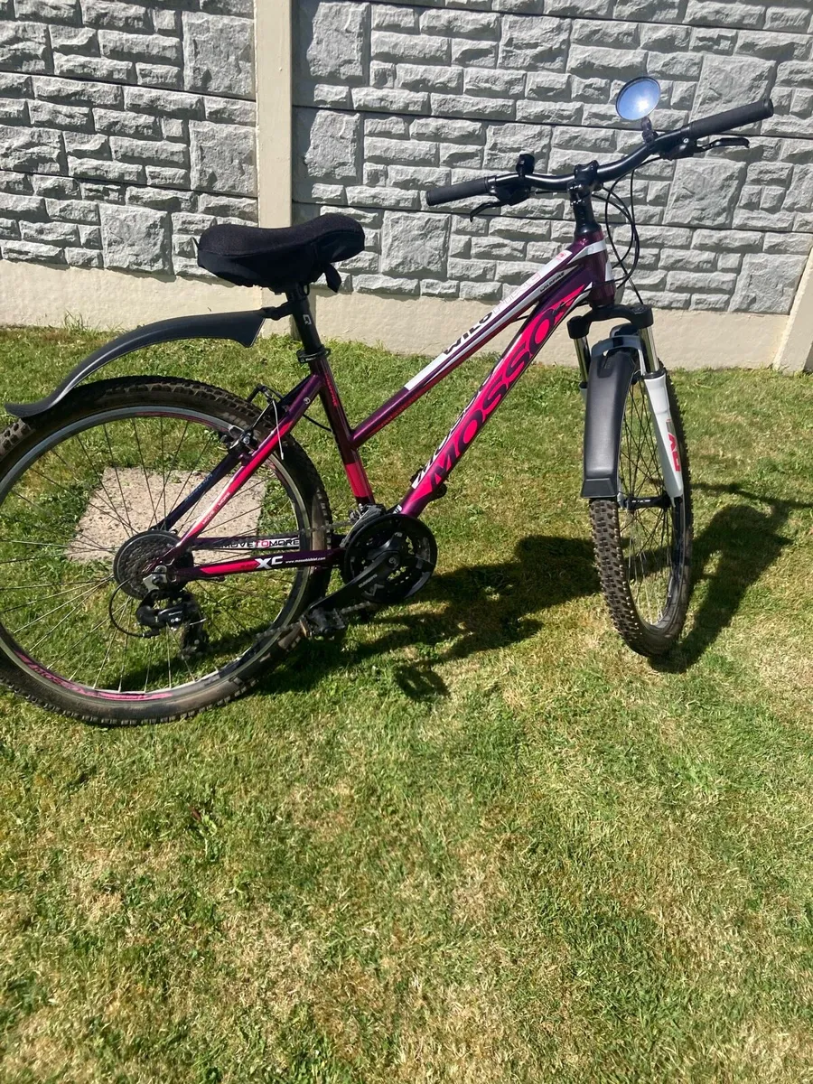 Ladies Bicycle - Image 1