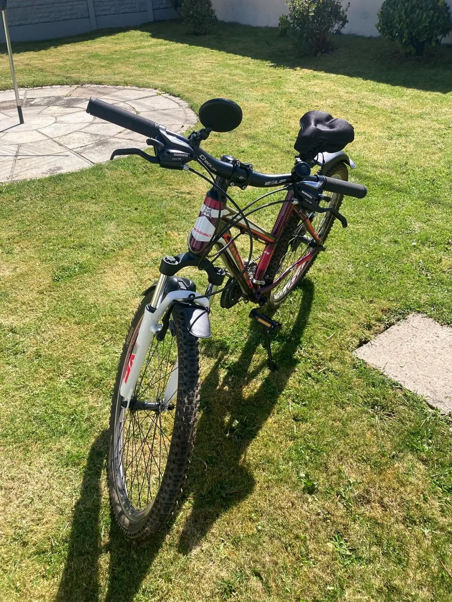 Ladies Bicycle - Image 2