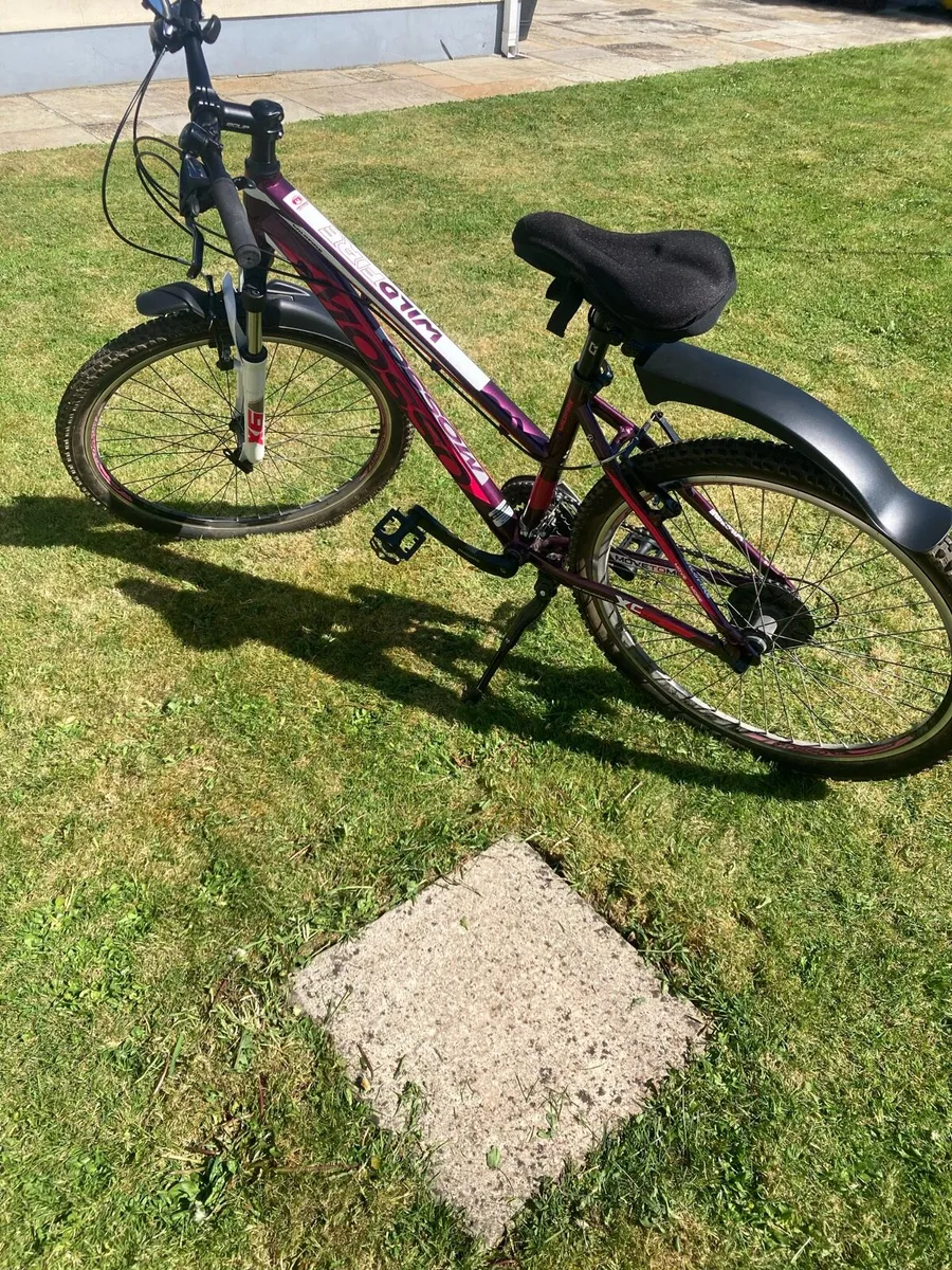 Ladies Bicycle - Image 3