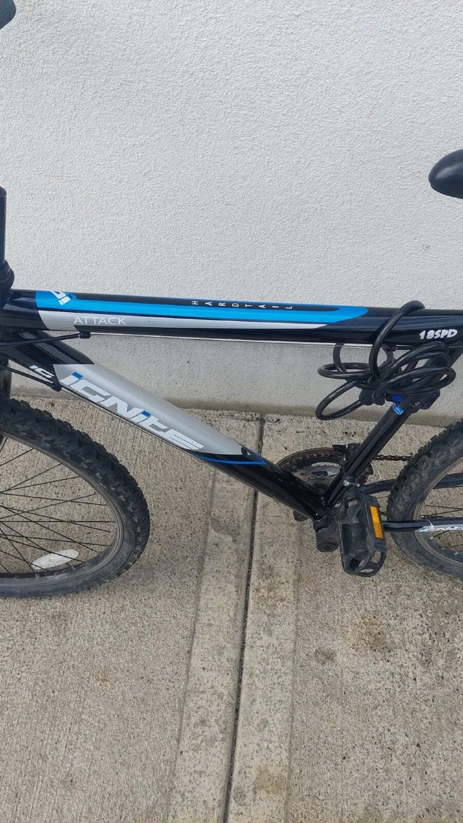 Bike - Image 2