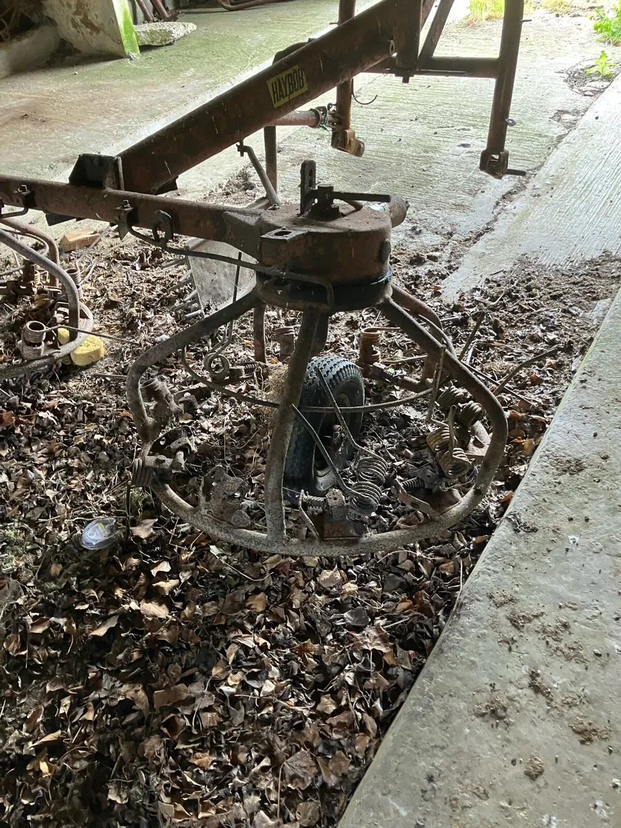 PZ Haybob - Image 4