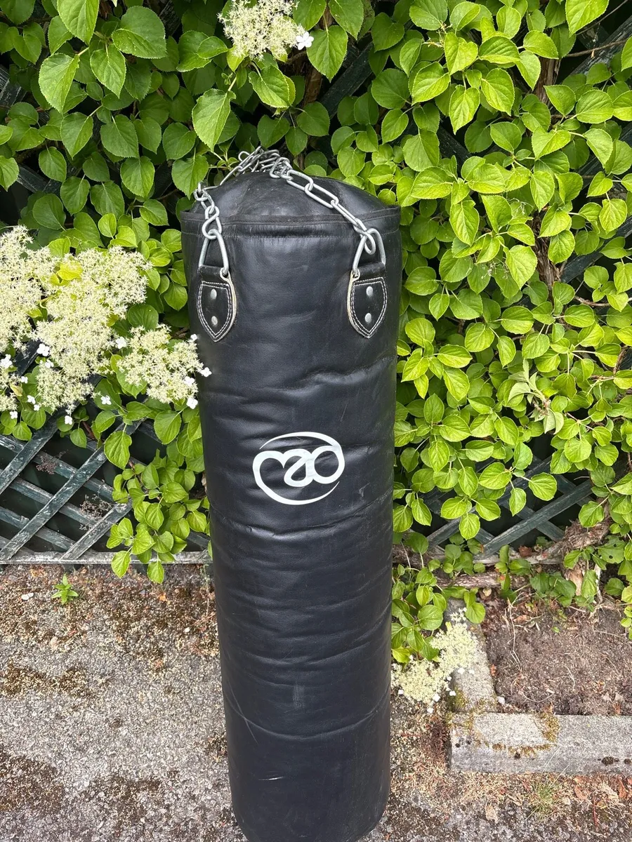 Punching bag