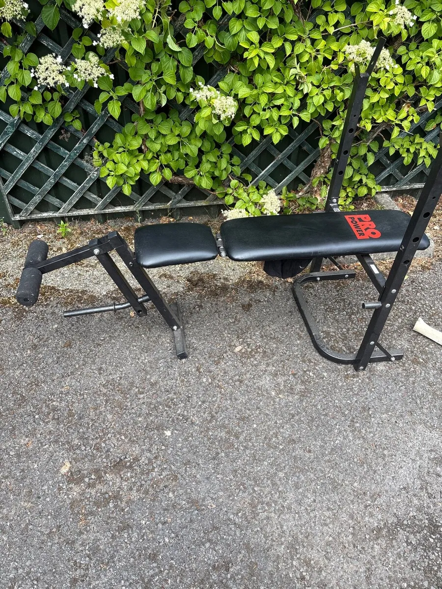 Workout bench