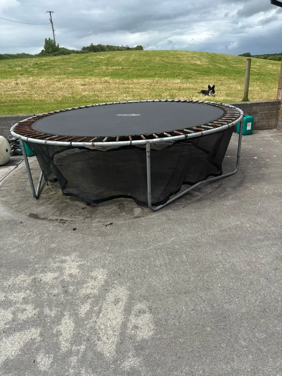 11ft round Berg Favorit Trampoline - Image 2