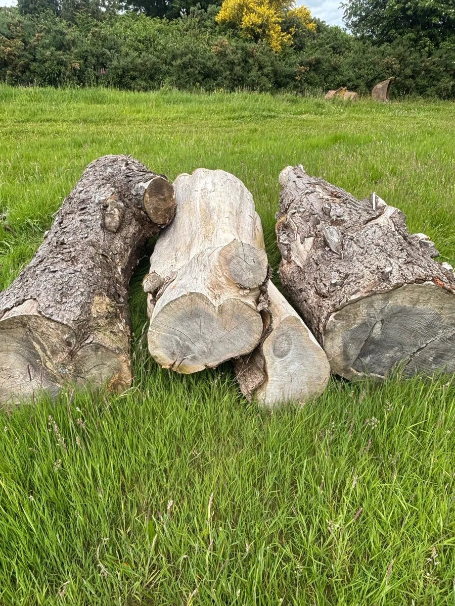 Logs - Image 2