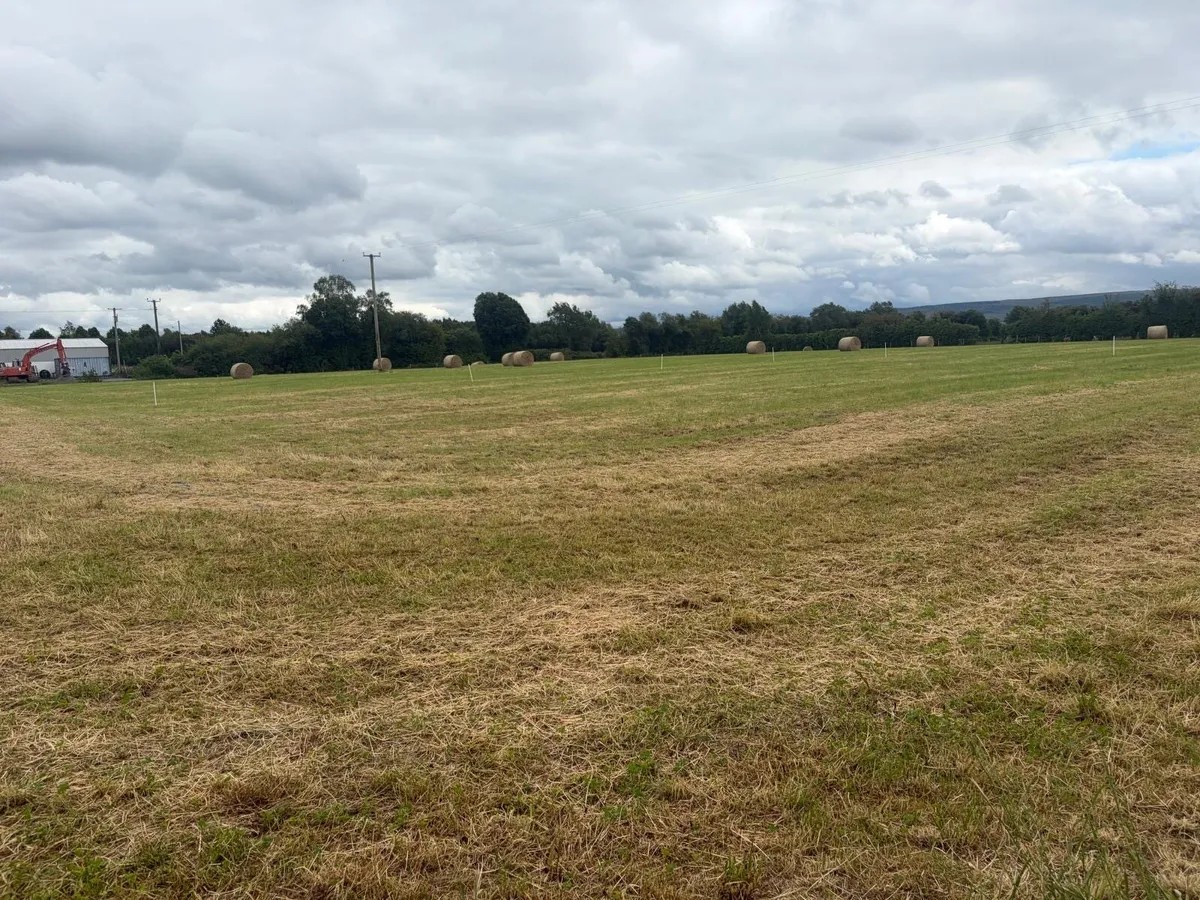 Bales - Image 2