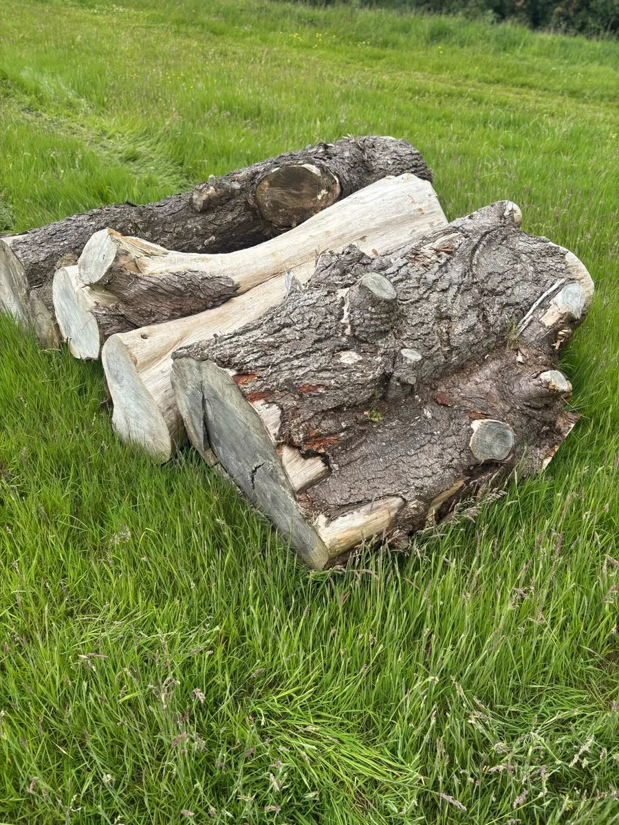 Timber - Image 1