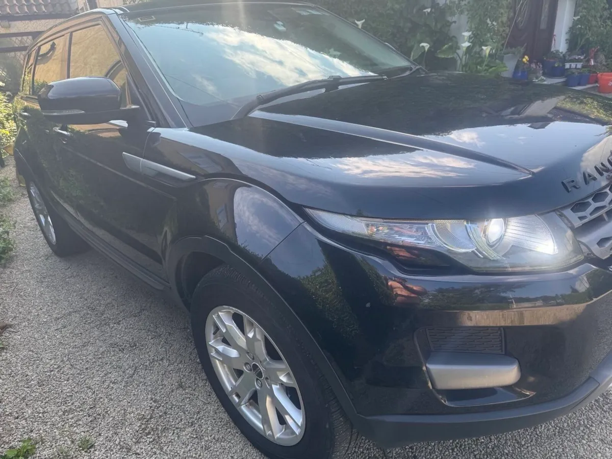 Evoque - Image 4
