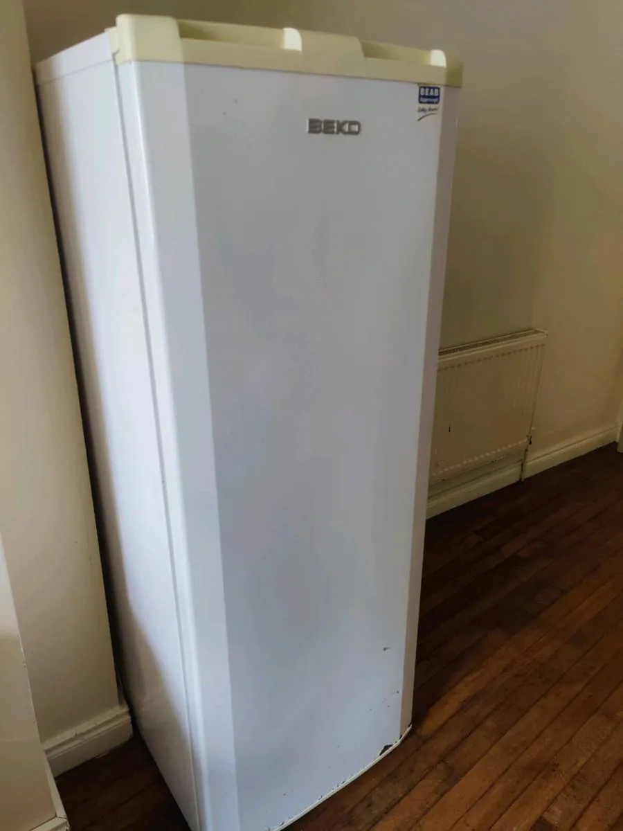 Fridge - Image 1