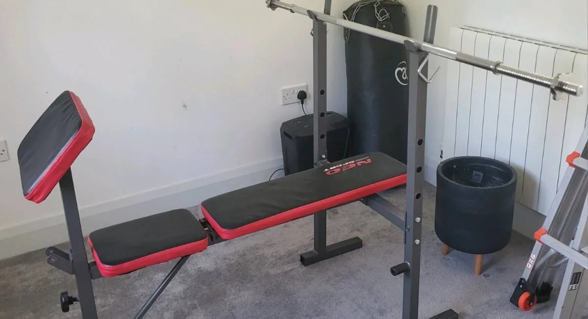 Punch bag and flat bench and weights - Image 1