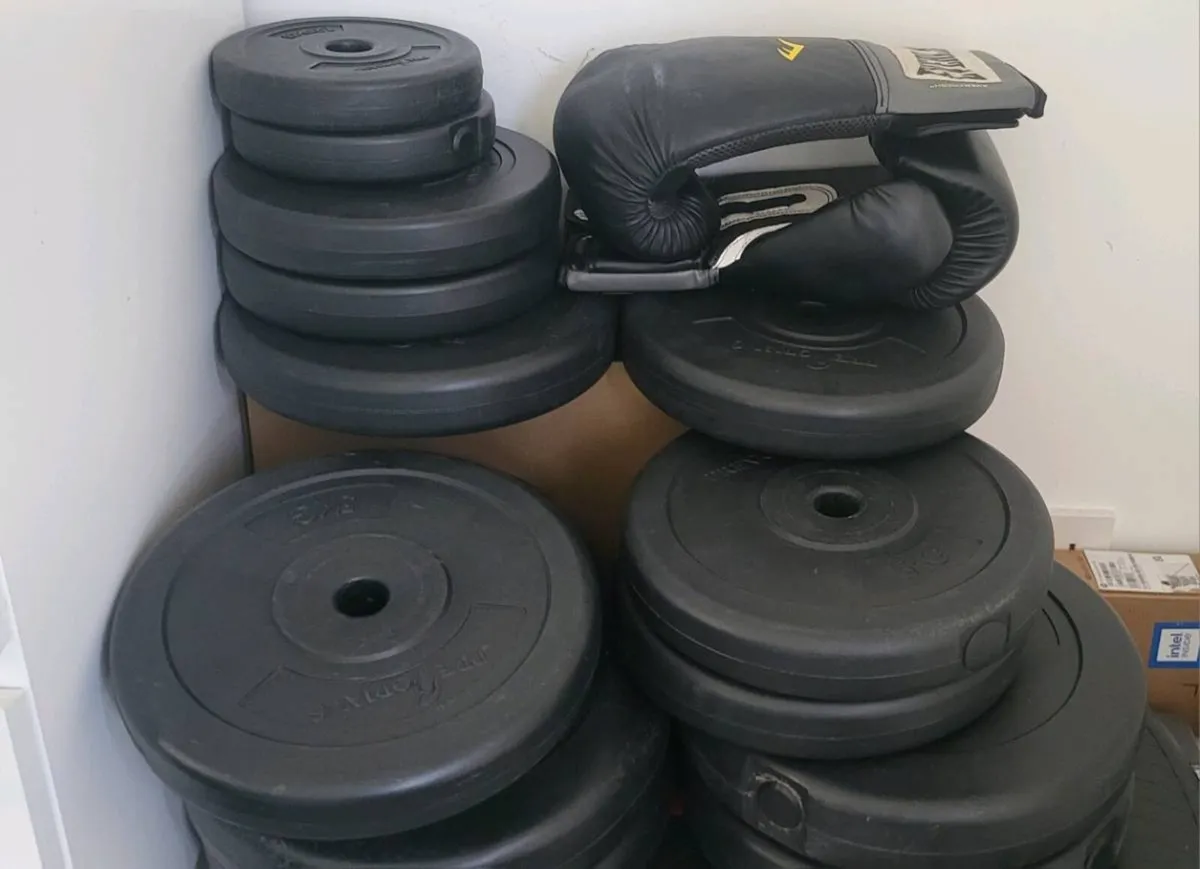 Punch bag and flat bench and weights - Image 4