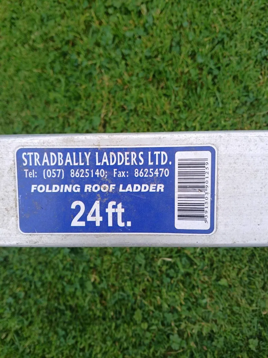 FOLDING LADDER - Image 1