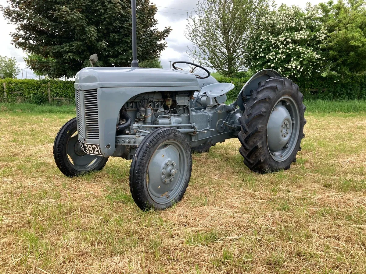 Ferguson T20 TVO - Image 2