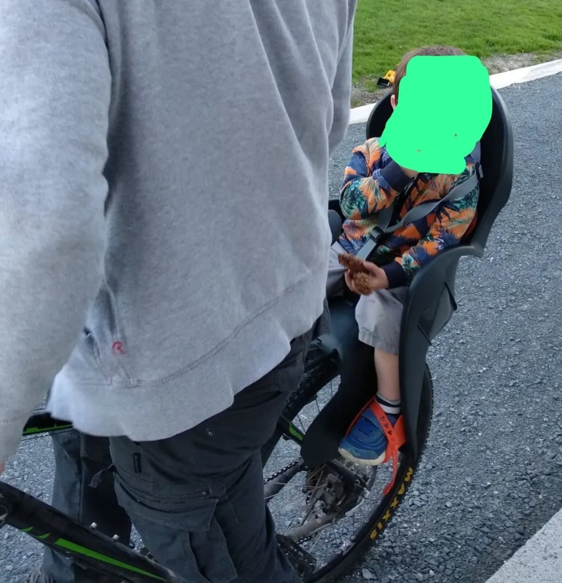 Child bike carrier - Image 2
