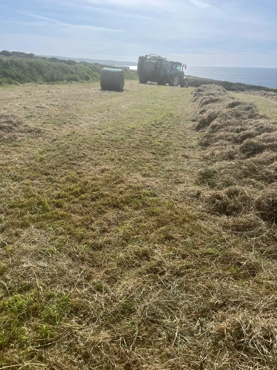 Hay - Image 2