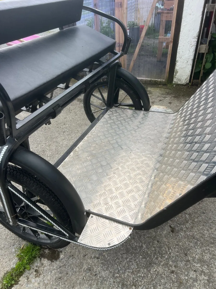 Horse cart and harness - Image 2