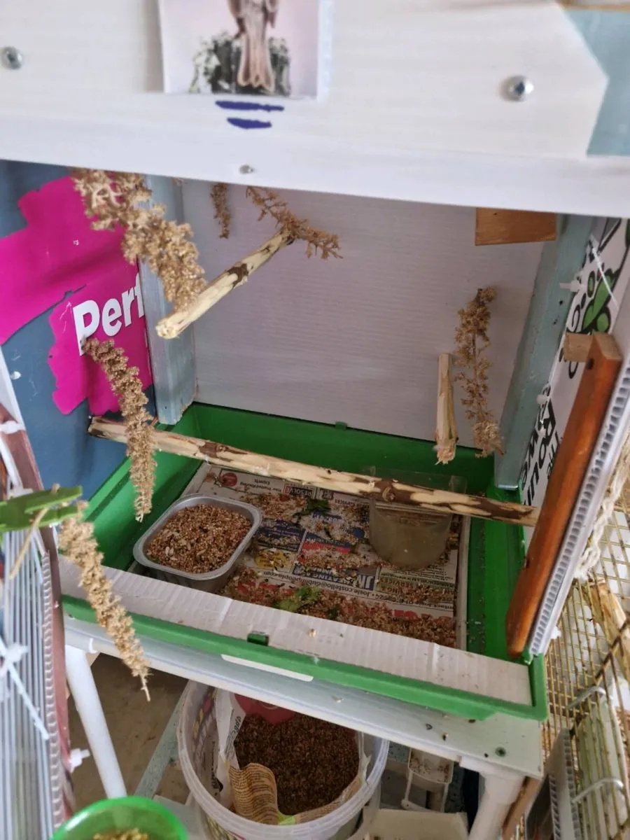 . cage food .book nest box. - Image 3