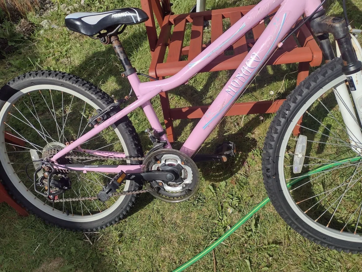 24" wheel mountain bike with front suspension - Image 1