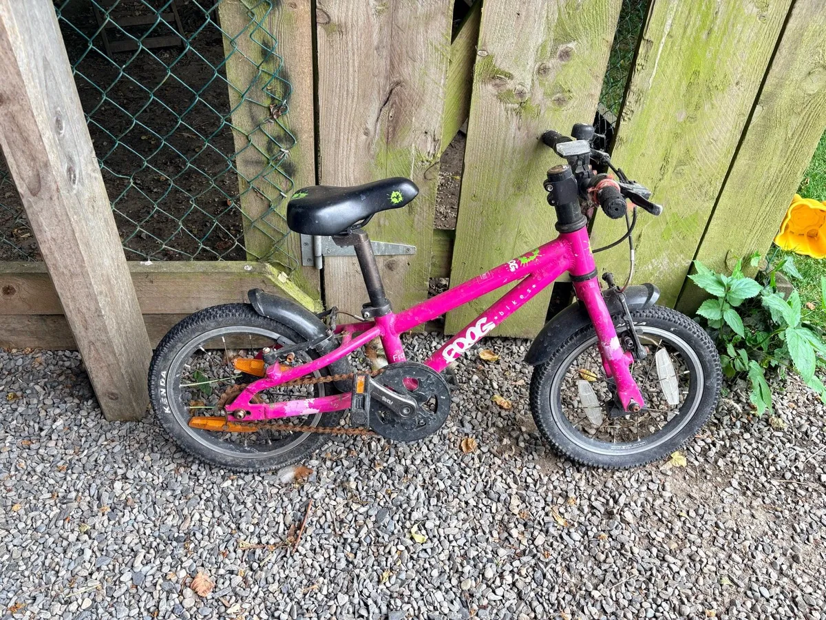 Frog Bike