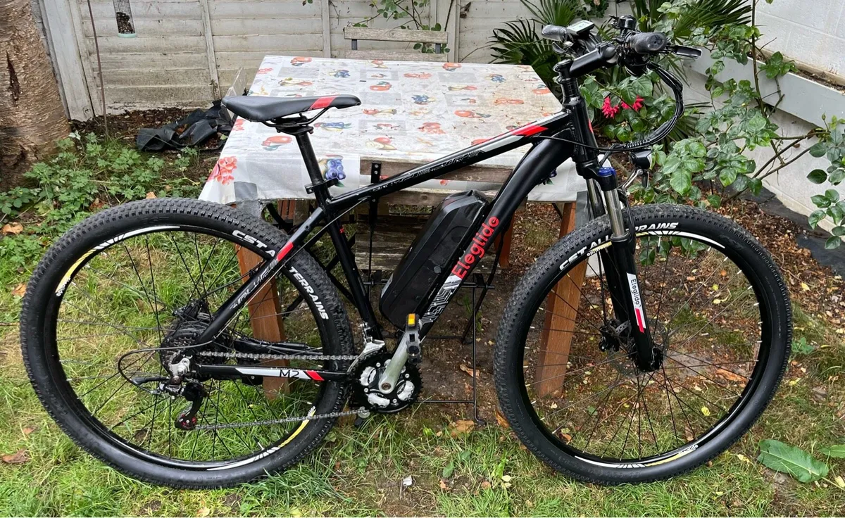 Electric bike - Image 1